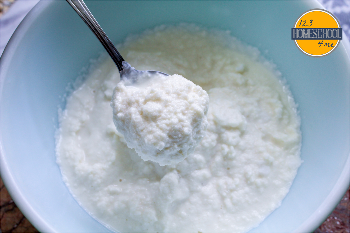 EASY Snow Ice Cream Recipe