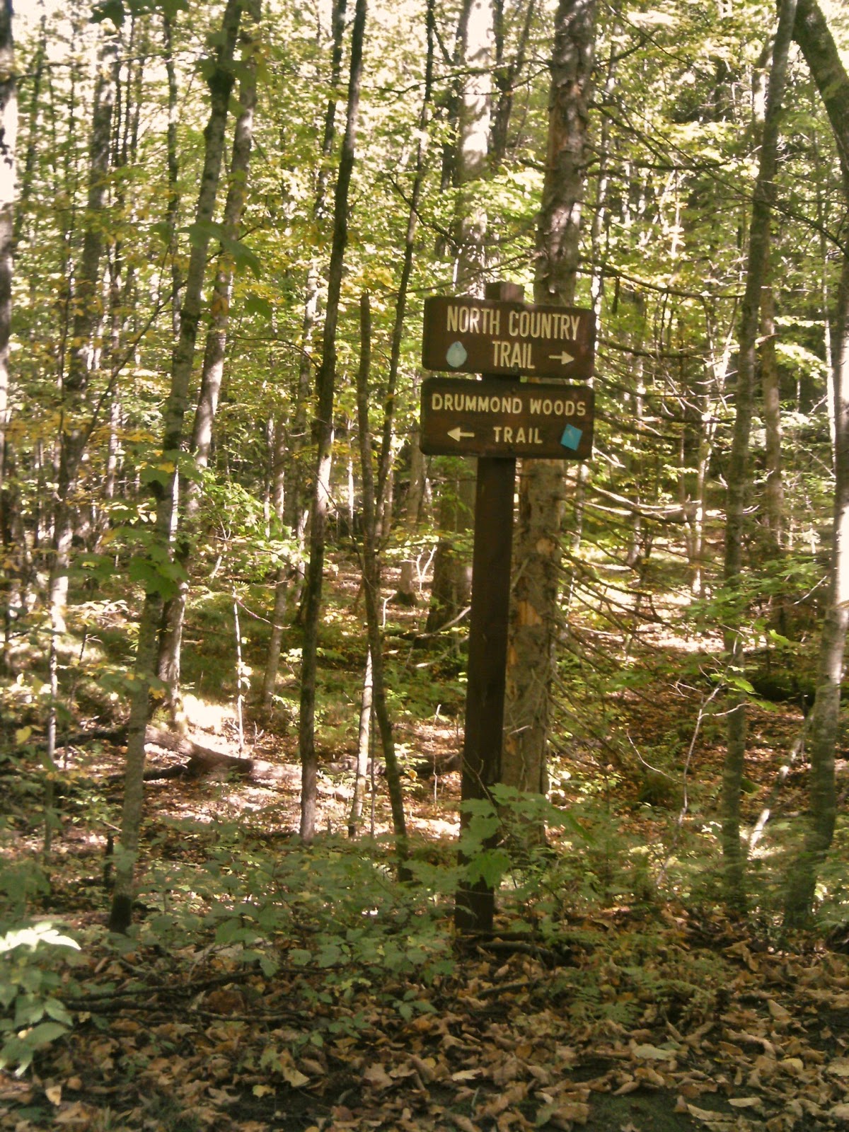 Day Hiking Trails Great trails surround Wisc.'s Drummond