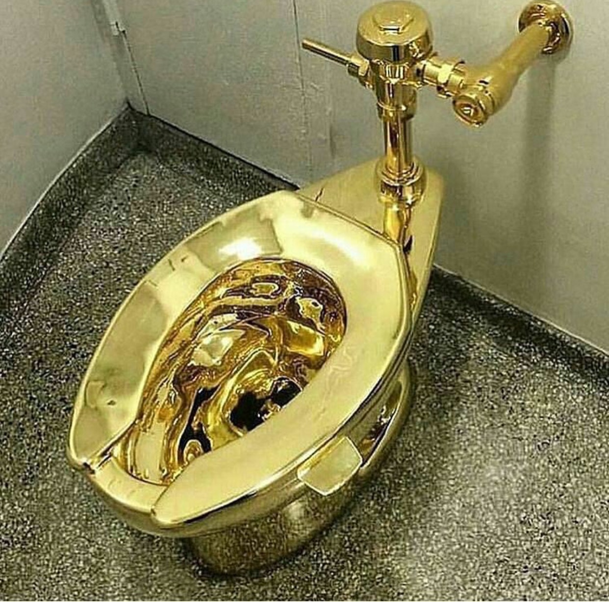 Check Out This Golden Toilet Seat (WC) To MSM Blog