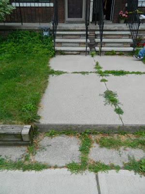 Beach Hill front yard cleanup before by Paul Jung Gardening Services Toronto Beach Hill front yard cleanup before by Paul Jung Gardening Services Toronto