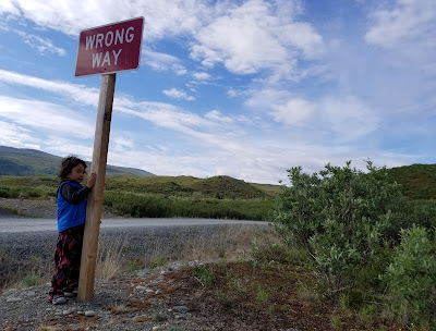 Sign Post with a boy says Wrong Way