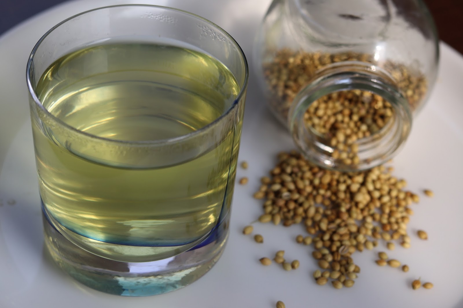coriander seeds - magical water for weight loss ~ healthy kadai