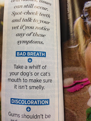 funny dog, funny magazine, animal humor, veterinary humor, funny pics, smell dog breath, dog breath, cat breath, cat humor, cat funny, LOLcat, dogshaming, LOLDog