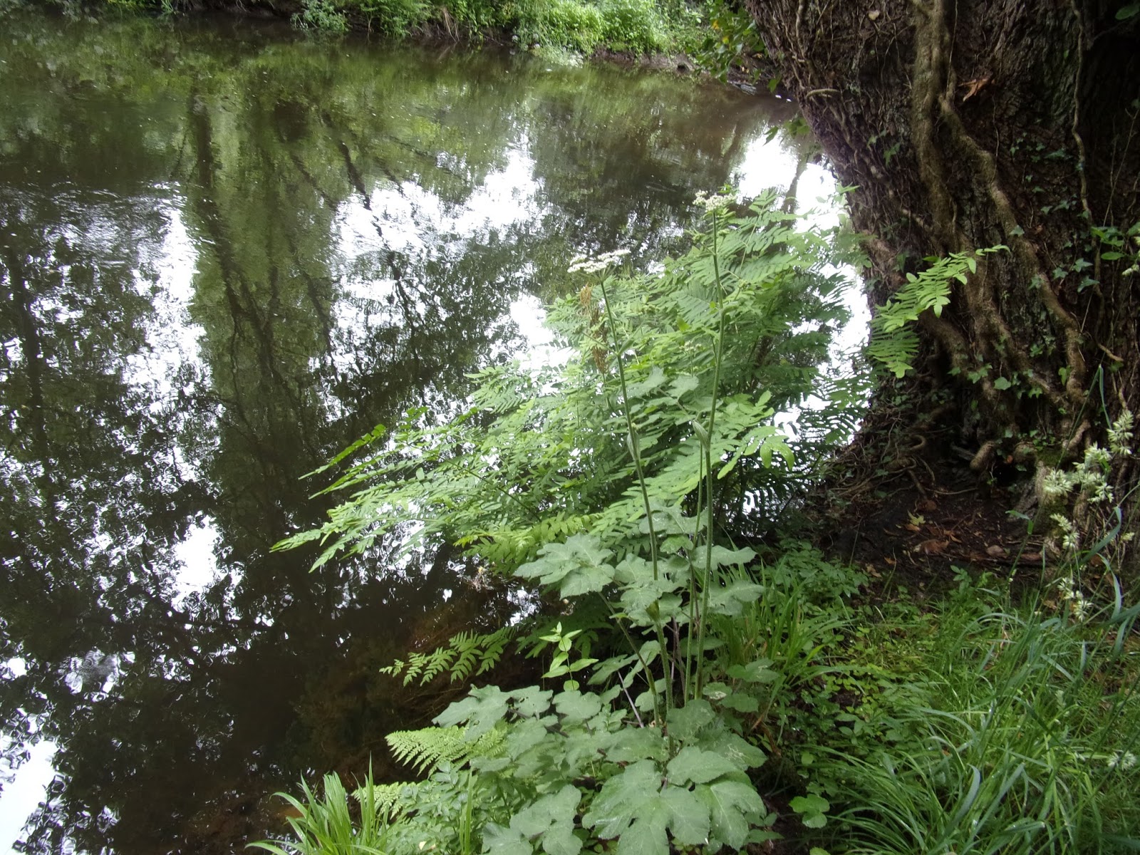 rencontre extraterrestre video