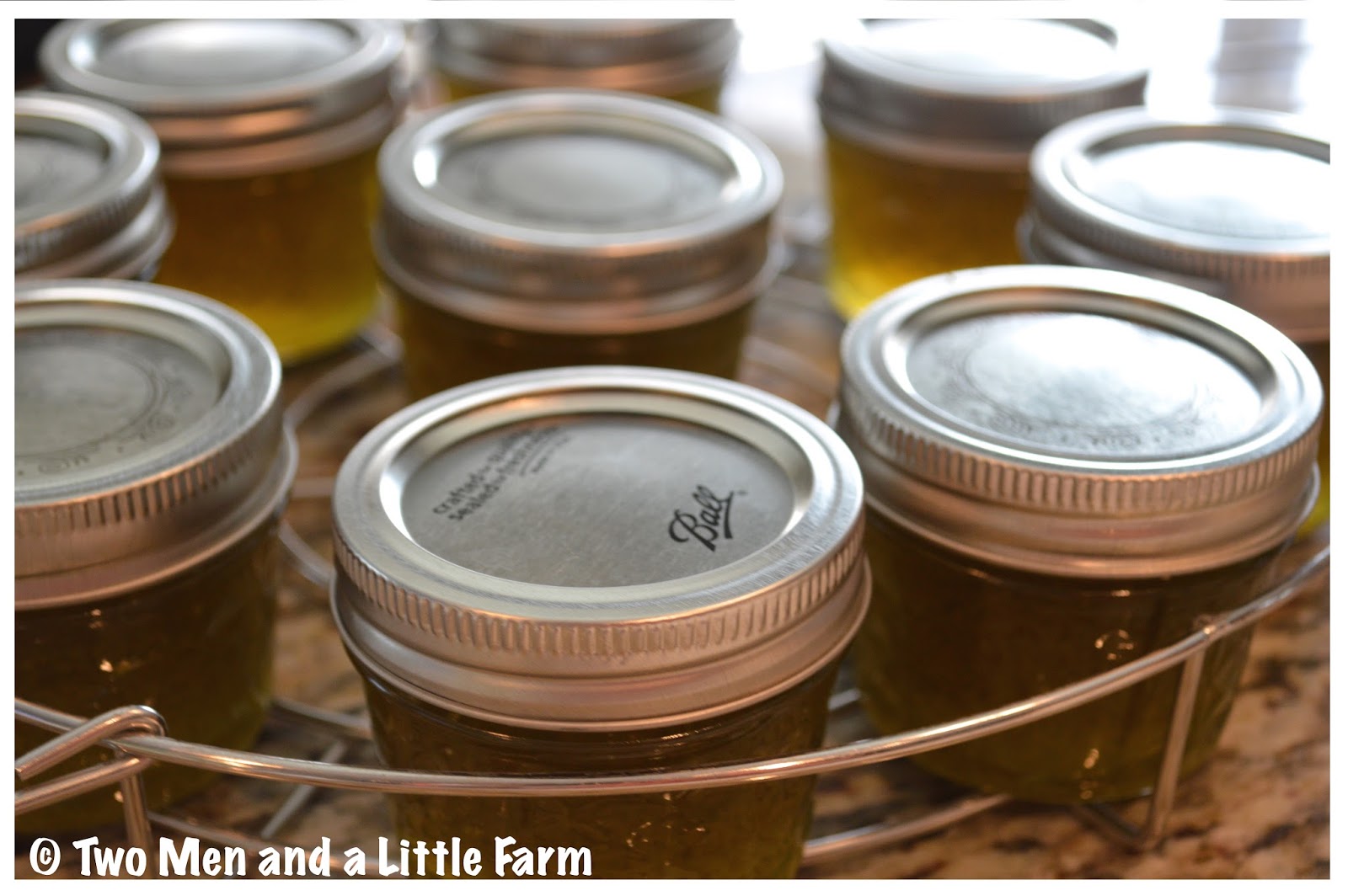 Two Men and a Little Farm JALAPENO JELLY CANNING RECIPE