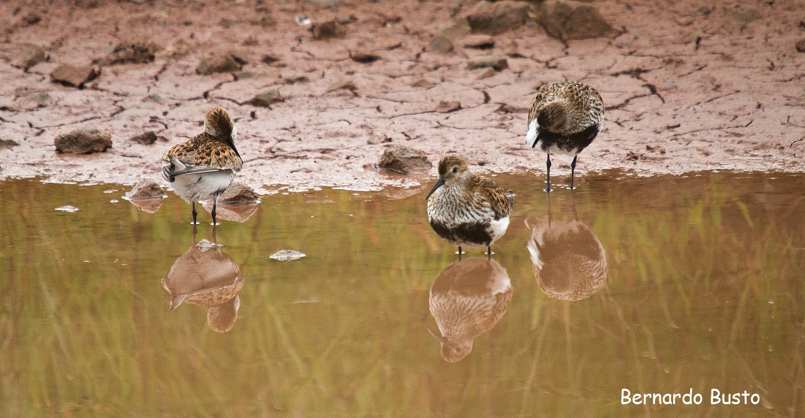 RÍA DE LA VILLA Mazaricos