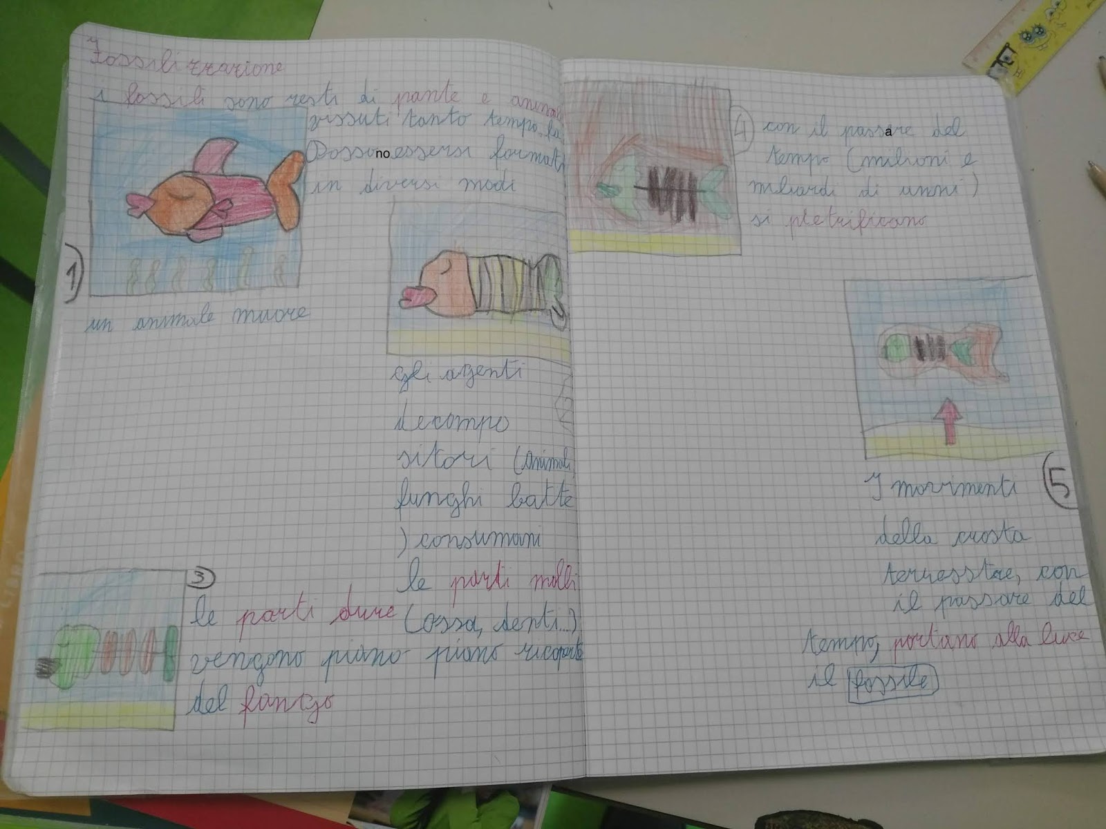 Terza Elementare I Fossili Schede Didattiche SCUOLA PRIMARIA DI MONTIERI (GR): LAVORO DELL'ARCHEOLOGO - LA
