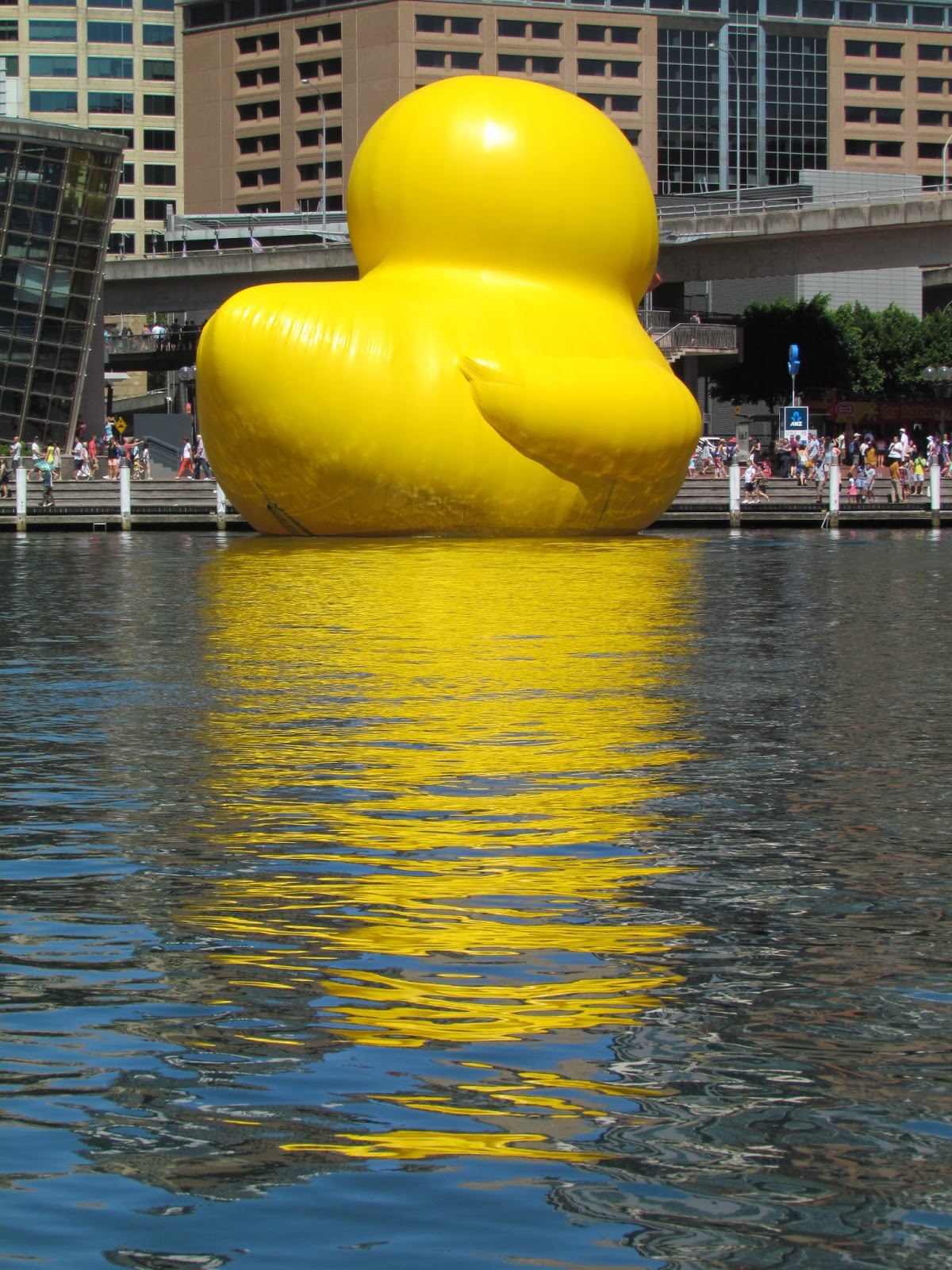 A View Of Sydney Rubber Duck....
