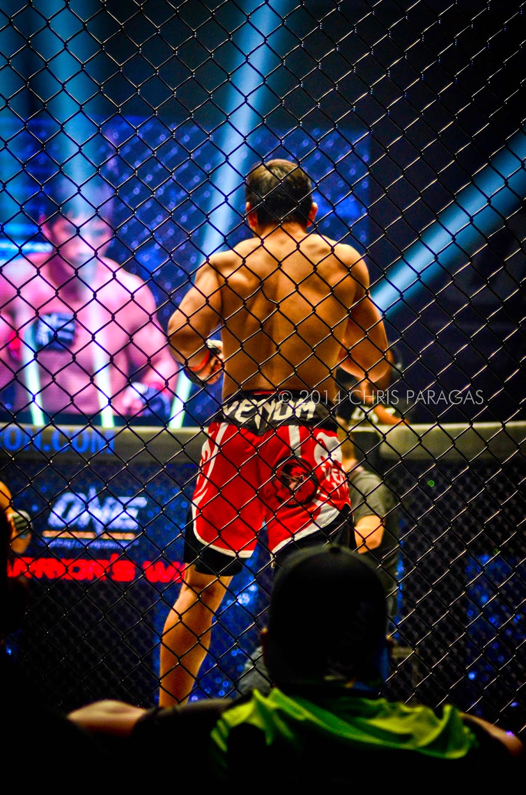 One Fighting Championship - warriors way