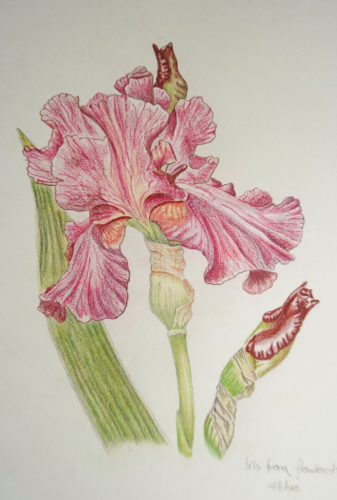 25 Draw and select | OCAdrawing1jfm