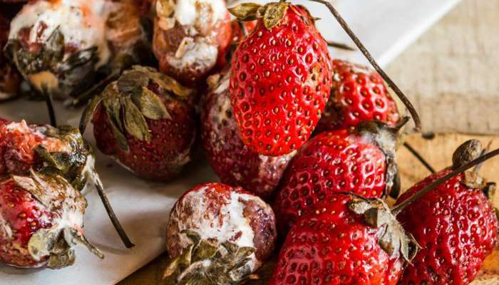 Хімічні явища у довкіллі: жовтня 2017