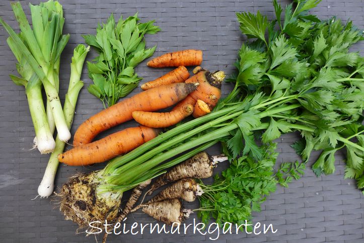 Wurzelgemüse Wurzelgemüse-Steiermarkgarten