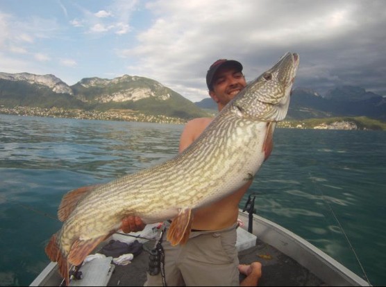 Big Fishes of the World: NORTHERN PIKE page 3