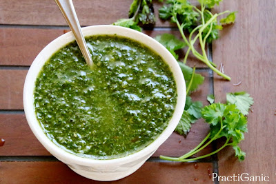 Garden Fresh Chimichurri Recipe