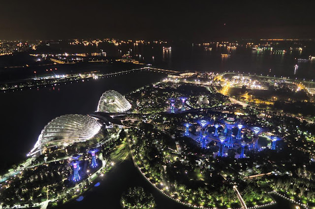 gardens by the bay view