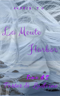 https://lesreinesdelanuit.blogspot.com/2018/10/la-meute-harbor-hs-porter-et-ludivine.html