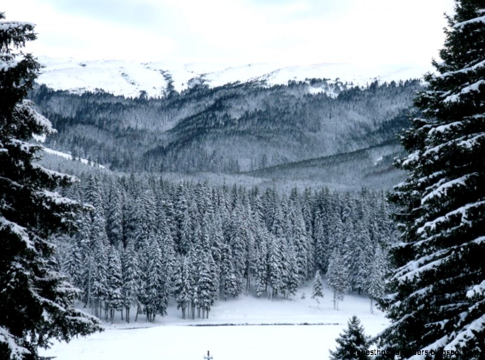 snowy landscape by the vDo on DeviantArt