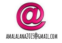 ✓ Email de contacto ✓