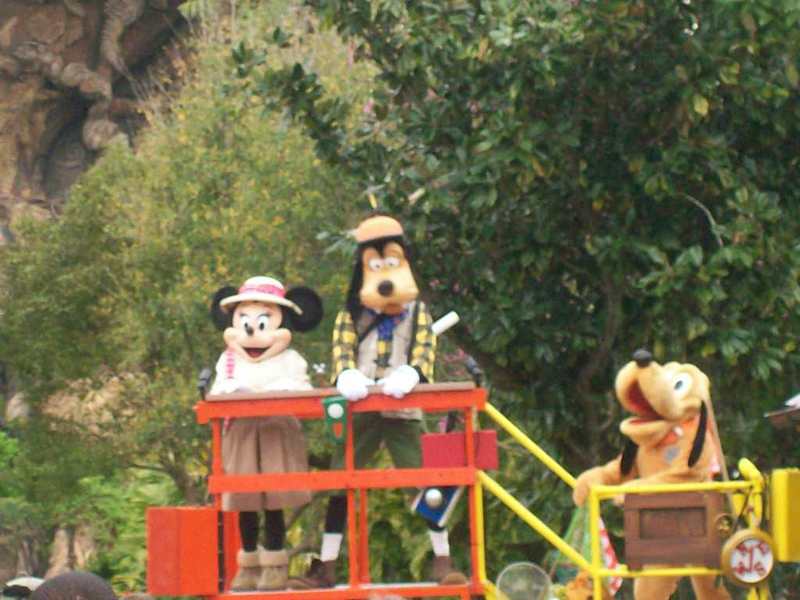 Disney Vacation Kingdom Animal Kingdom Rope Drop Ceremony