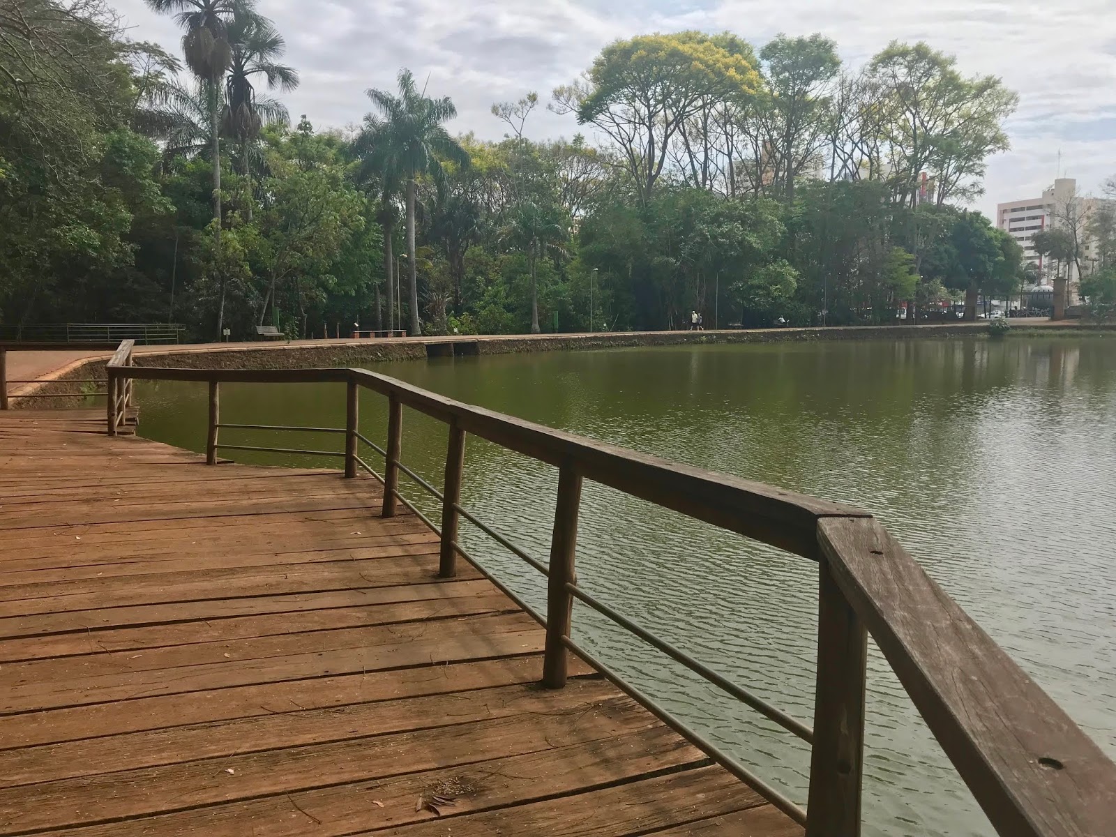 Bosque dos Buritis em Goiânia (GO) Áreas Verdes das Cidades Guia de Parques
