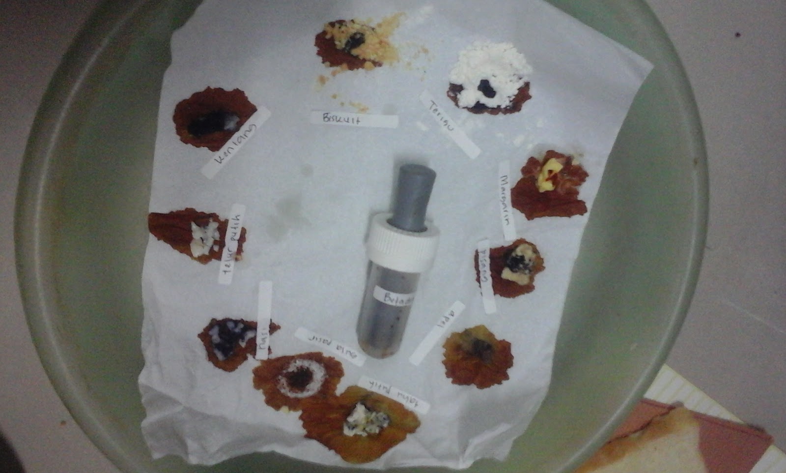 Uji Kandungan Makanan