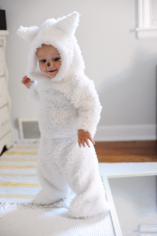 Rust & Sunshine: White Wolf Pup (or Ghost the Direwolf) Costume