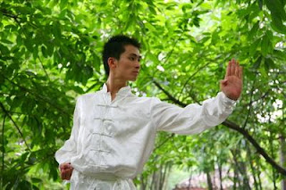 Formation Tsun Kung Fu Techniques