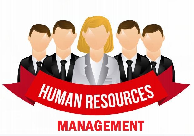 Apa Itu Manajemen Sumber Daya Manusia?