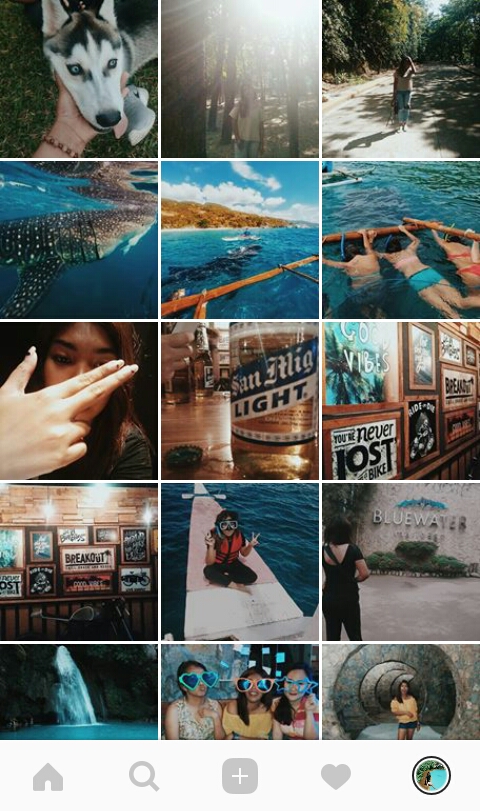 free vsco filters