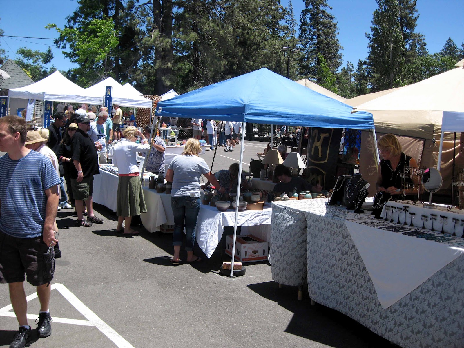 The Sommelier Update Lake Arrowhead Art and Wine Festival