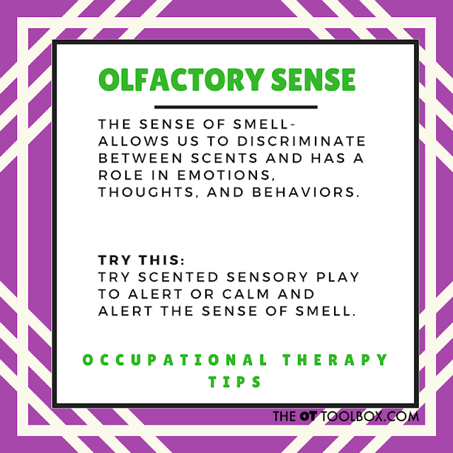 olfactory sense scented play