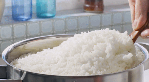 arroz2