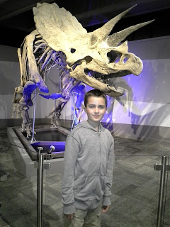 boy in front of a Triceratops