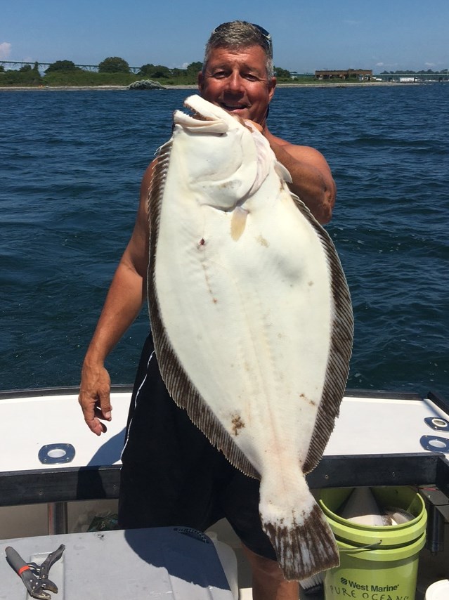 fluke fishing fluke fishing