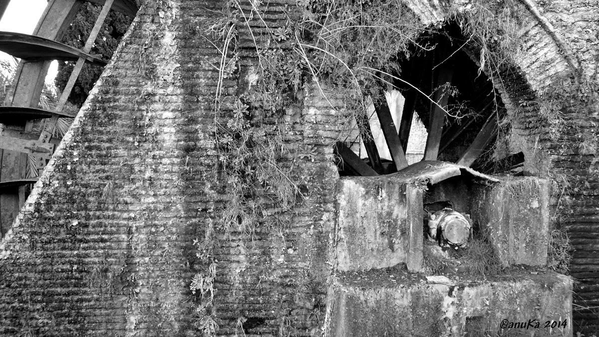 aNa en un click Rueda de Alcantarilla (Murcia)