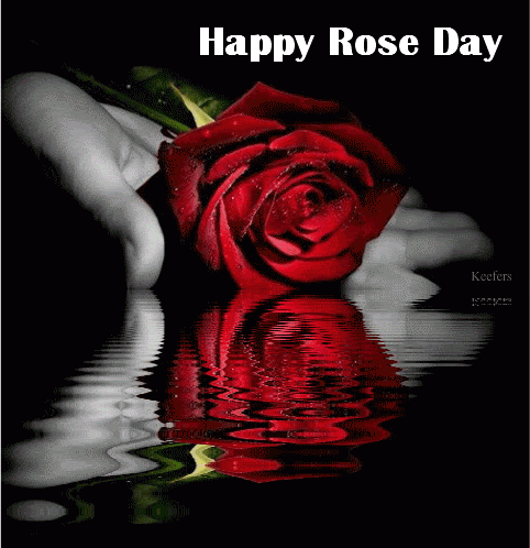 Happy Rose Day My Love GIF Images Happy Rose Day My Love GIF Images