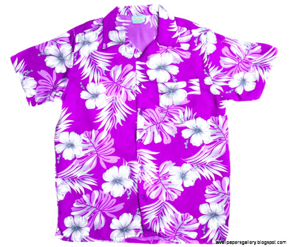 Free Hawaiian Clip Art Pictures   Clipartix