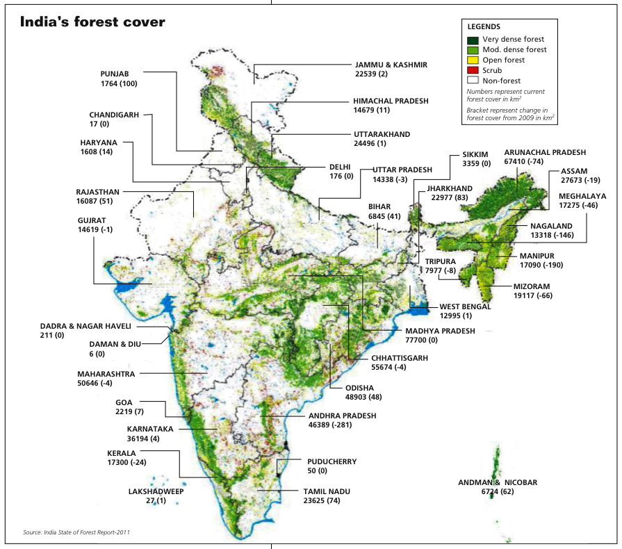 India's Forest