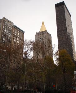 Navidad en Nueva York 2010 - Blogs de USA - Día 5: 6 de Diciembre. ESB y NBA (5)