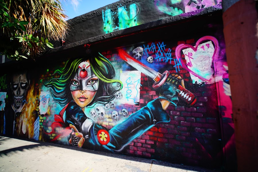Colorful murals around Wynwood streets, Miami