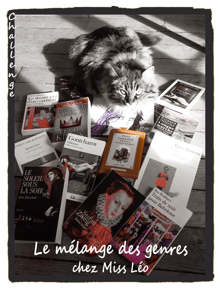 http://lecturienne.blogspot.fr/2014/07/challenge-le-melange-des-genres.html