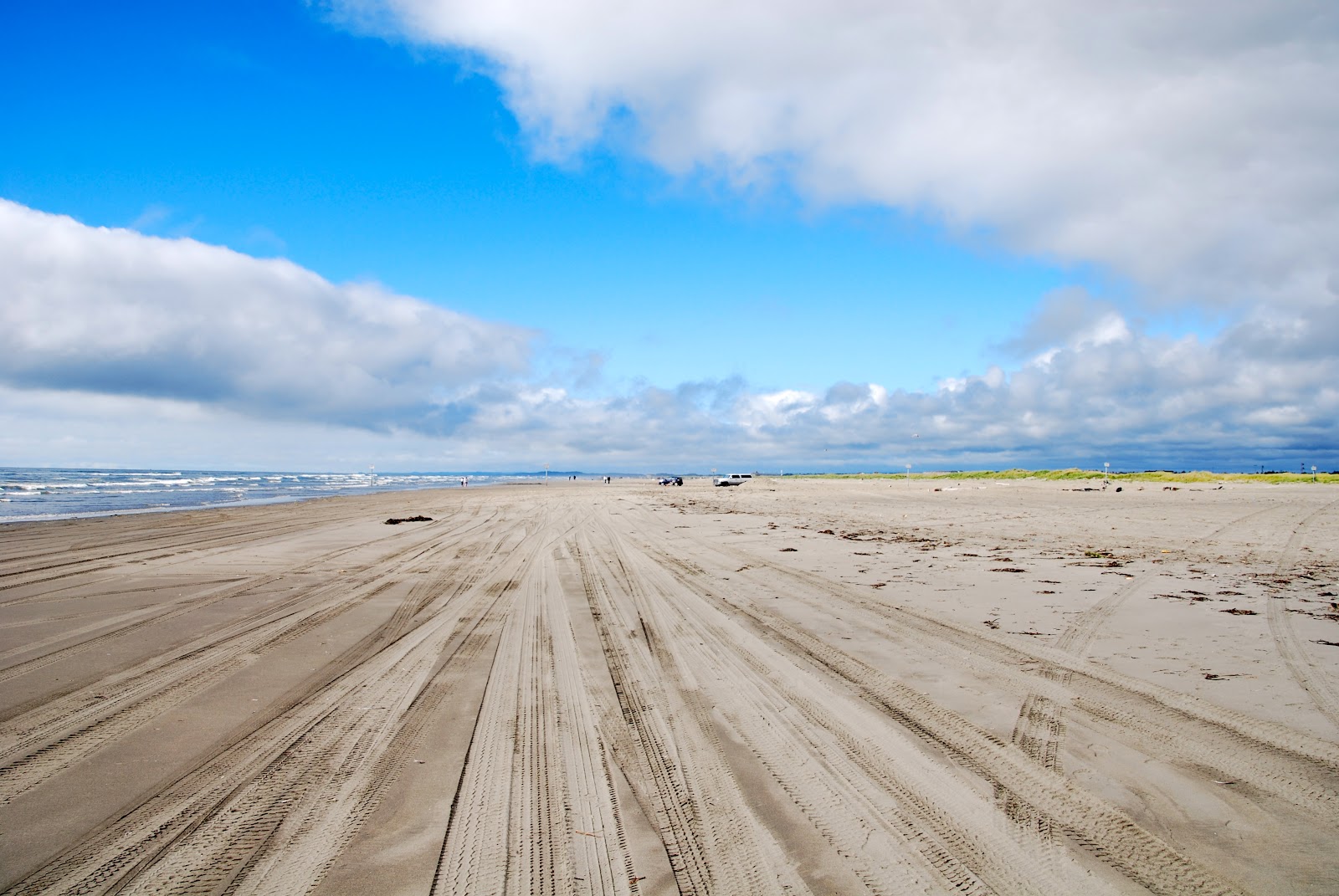 Wanderlust Traveler Ocean Shores Washington