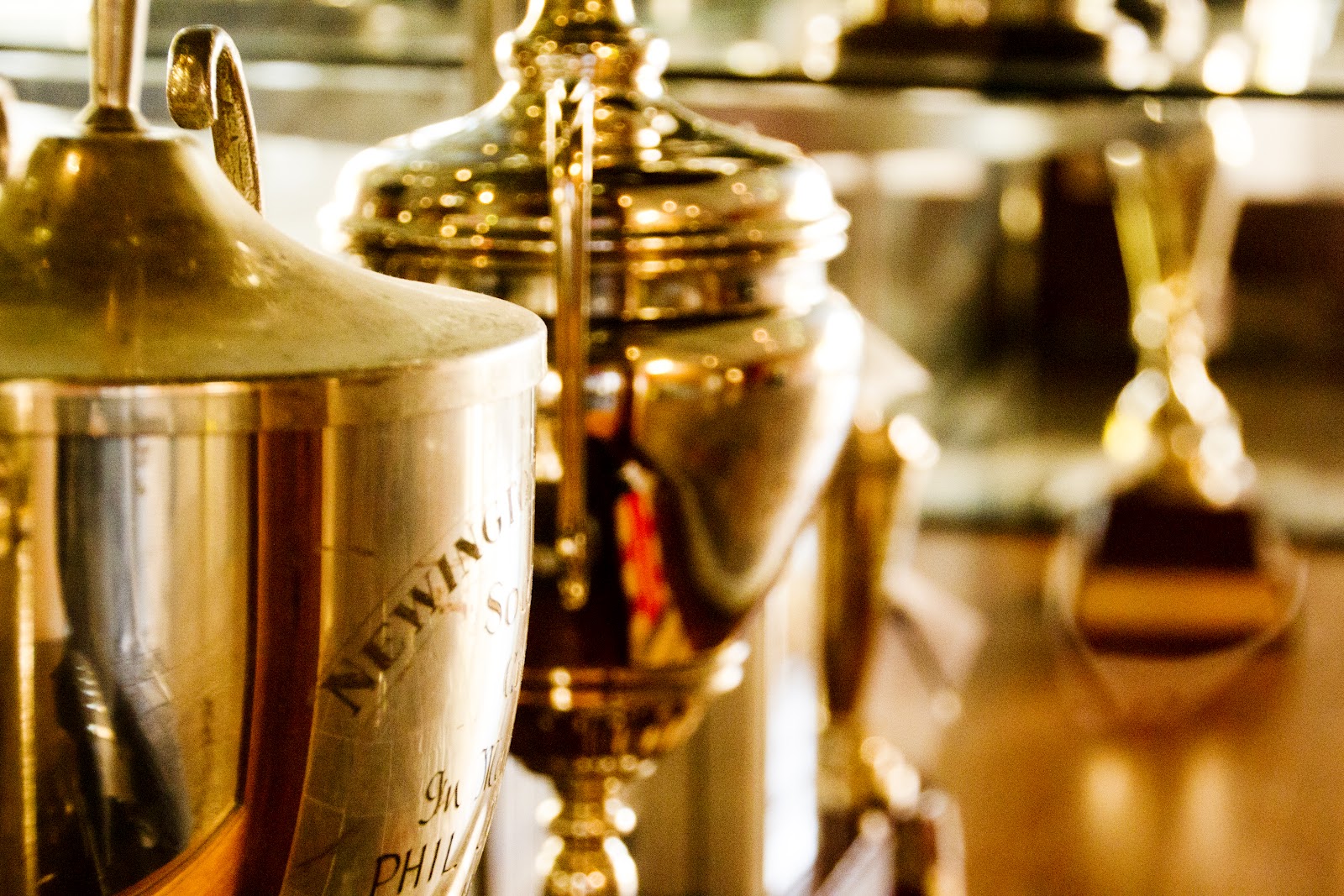 The Young Photographer's Diary Trophies and medals