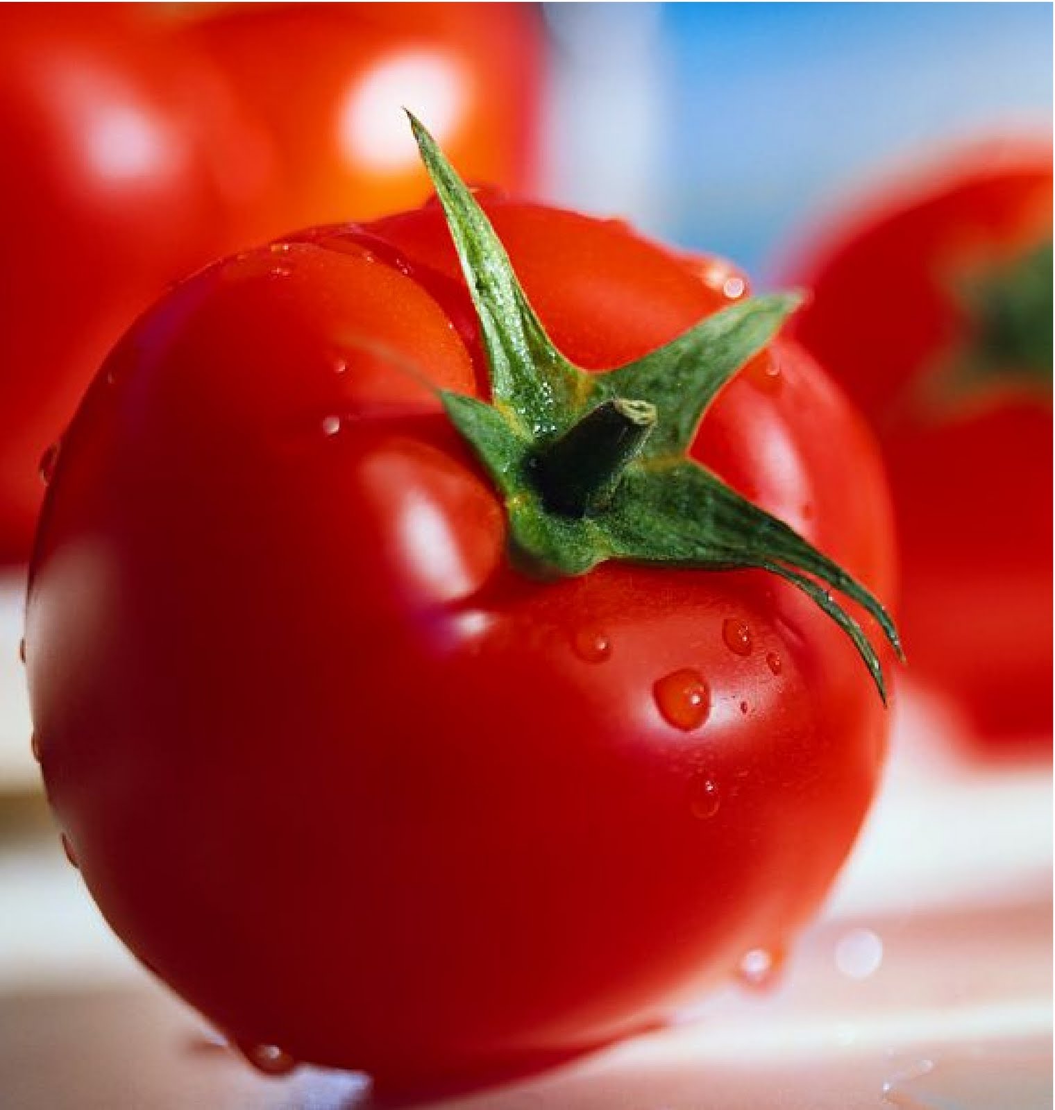 About Benefits and efficacy of Tomato Fruit culinary vacations