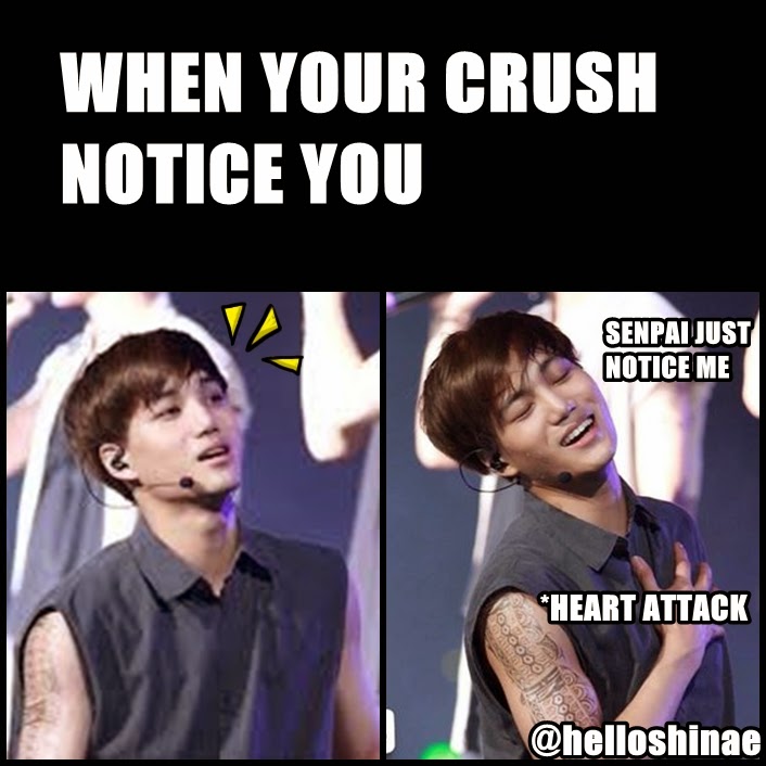 Miss Otaku: EXO MEMES