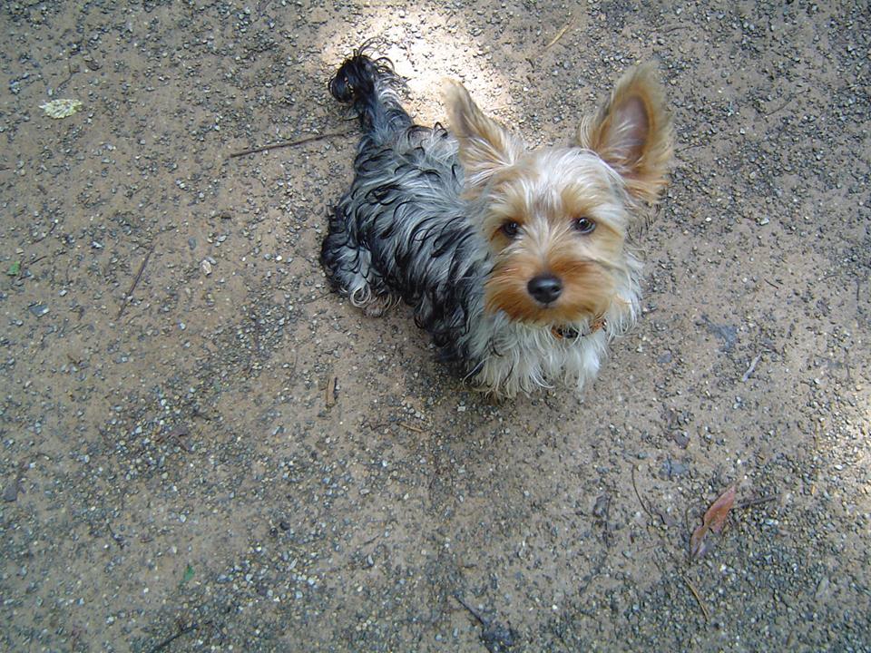 Bienenbienchens Un Perfektes Dinner November 2018