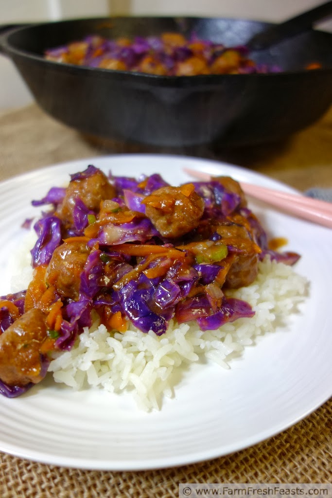Farm Fresh Feasts Orange Teriyaki Slaw Stir Fry with Orange Sriracha Turkey Meatballs