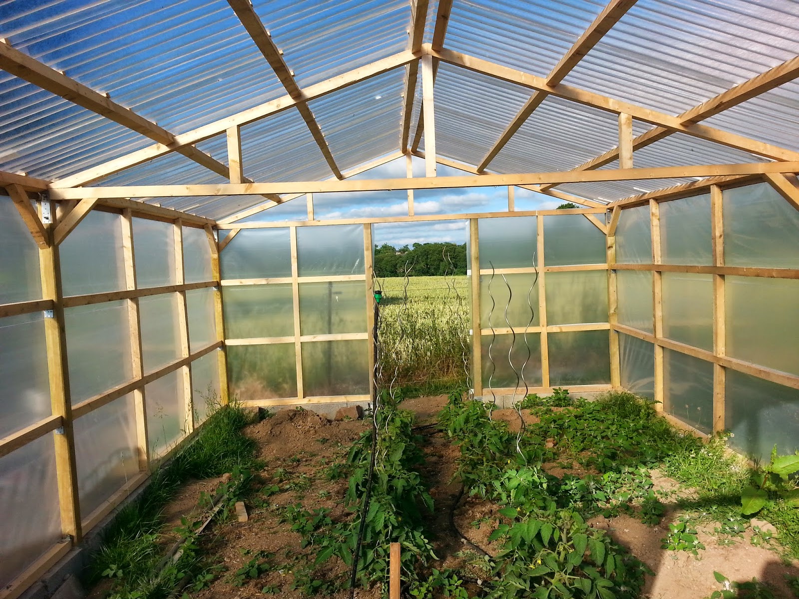 Serre Ossature Bois L Atelier 902 Par Jean Baptiste Buchoux