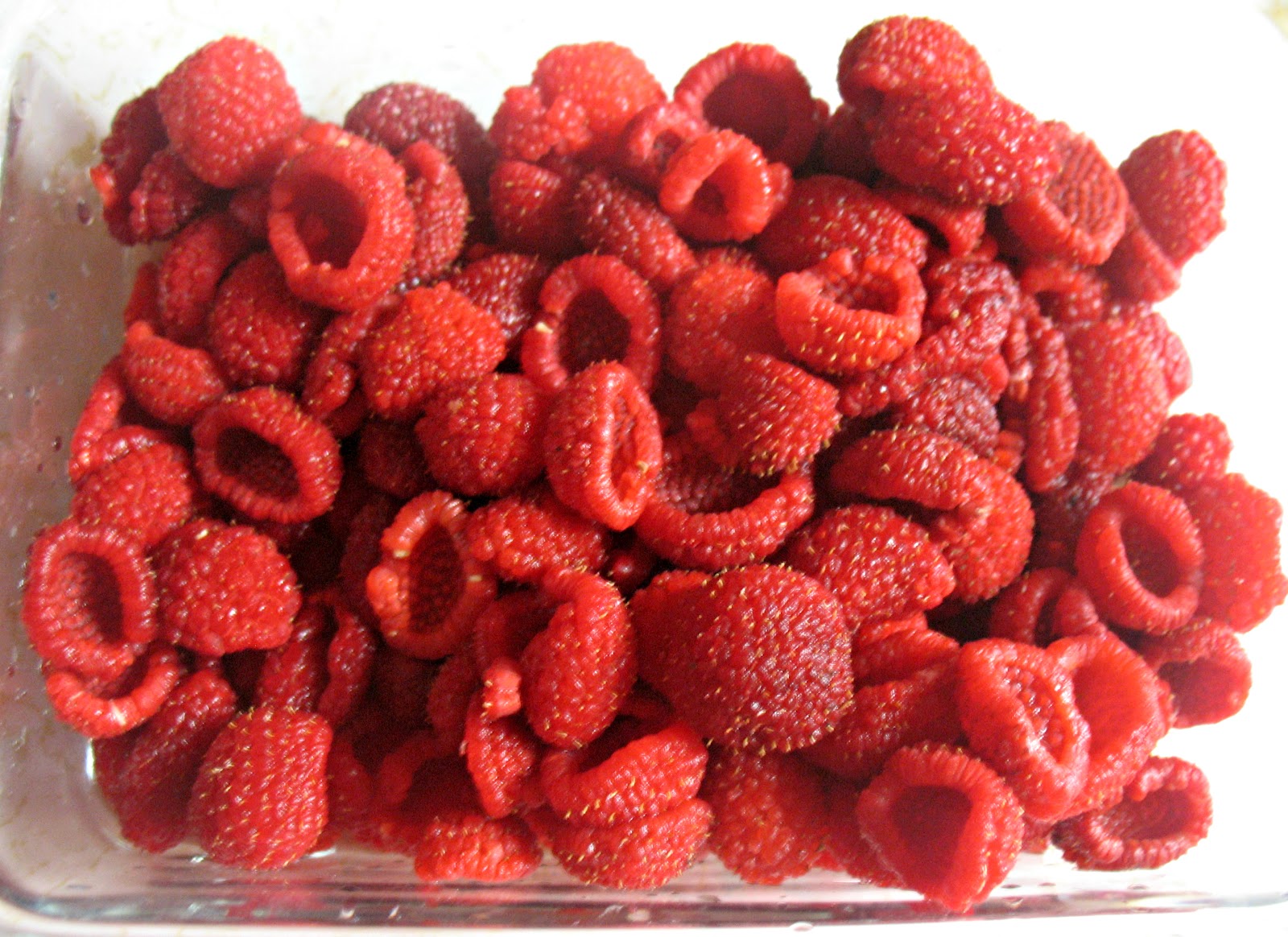 Little Ella Lu Thimble Berry Goodness!