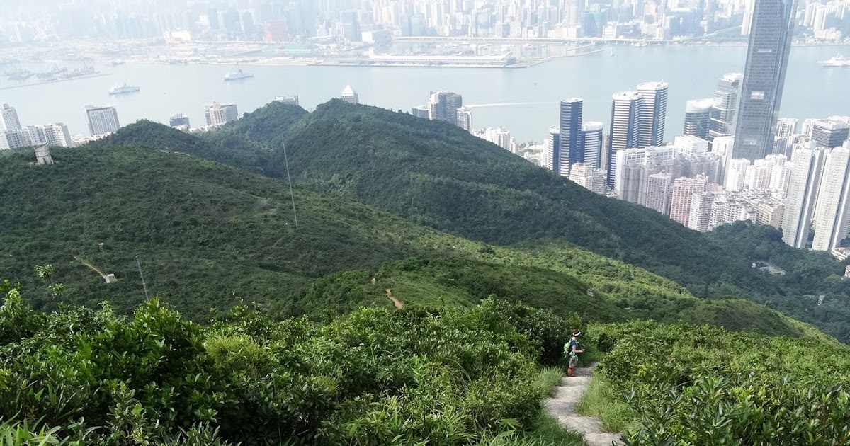 WEBS OF SIGNIFICANCE Sweating buckets while going along thousands of